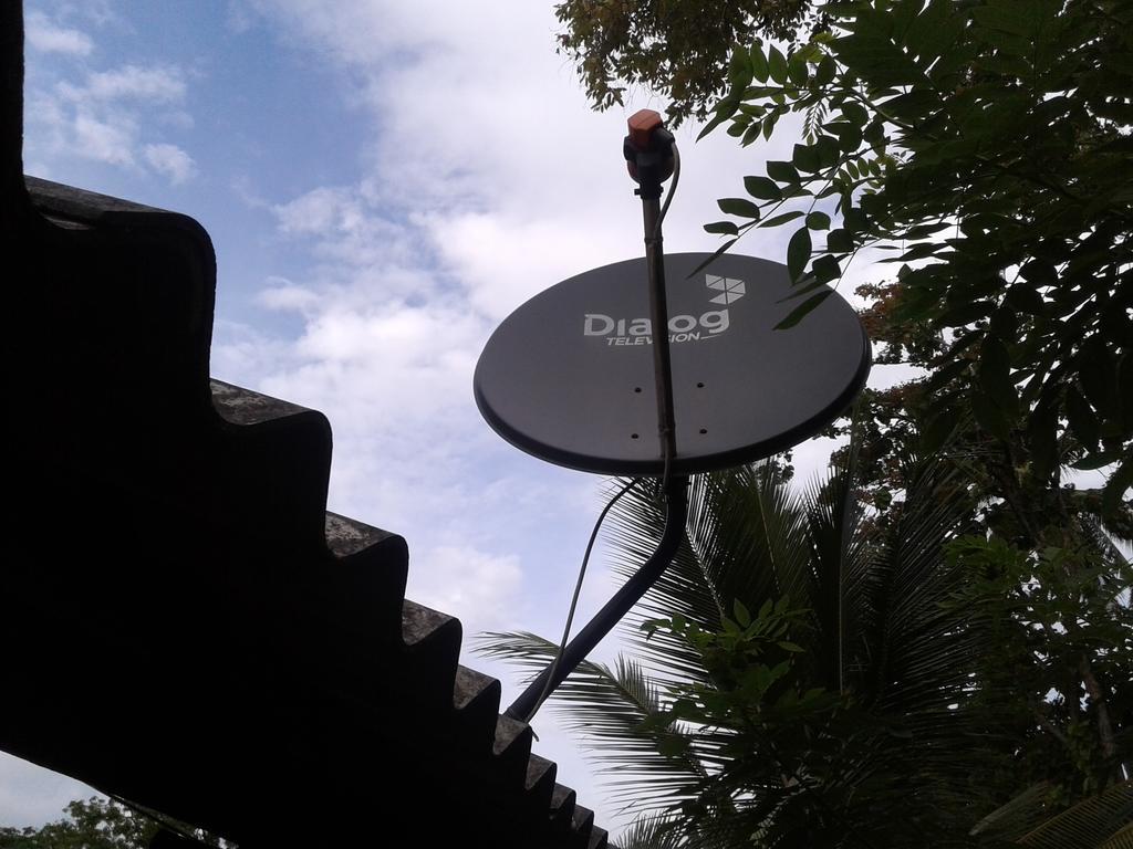 Bluesky Guest House Dambulla Extérieur photo