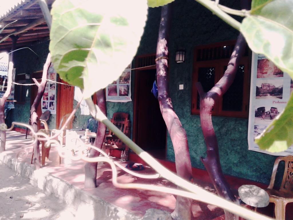 Bluesky Guest House Dambulla Extérieur photo