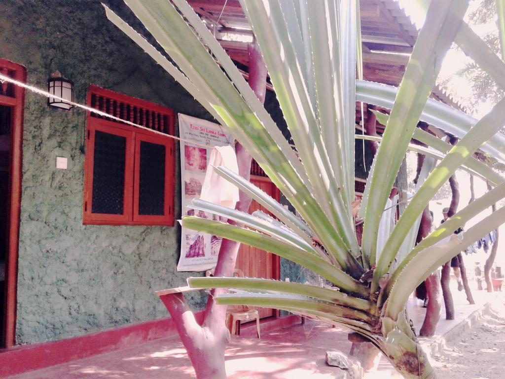 Bluesky Guest House Dambulla Extérieur photo